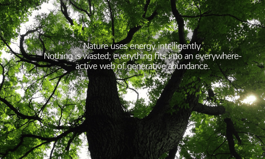Nature-Energy-Intelligent-1136x685