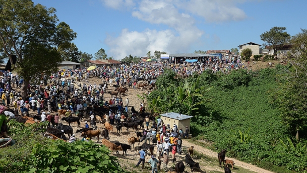USAID_Haiti_photo