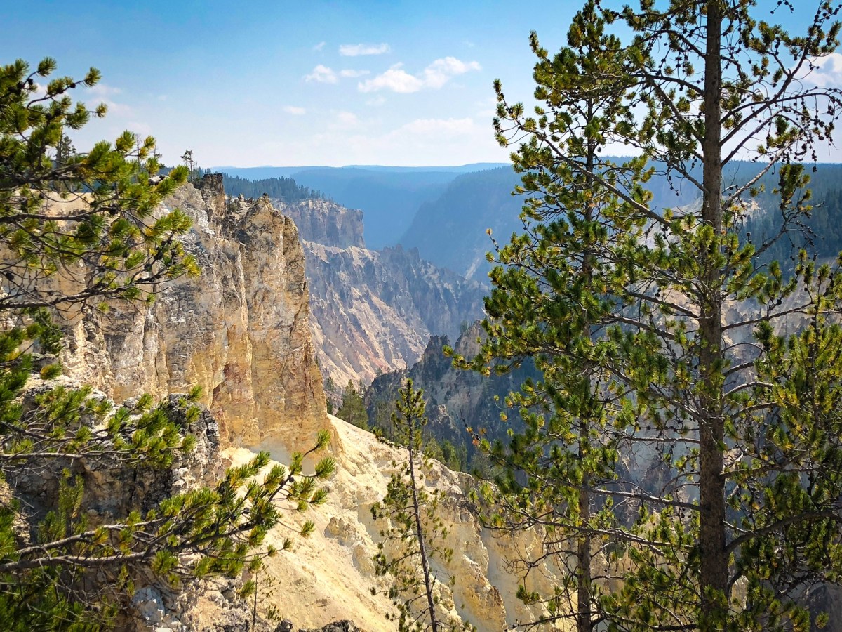 Ep 11: The Rights of Nature, Part&nbsp;2