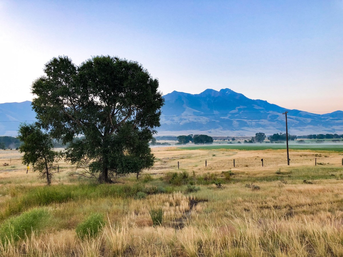 Ep 16: Jonathan Foley on Project Drawdown & mobilizing climate&nbsp;solutions