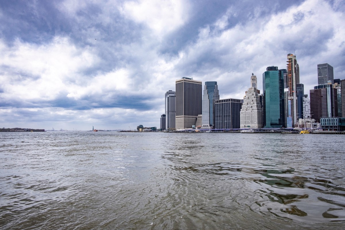 Ep 8: Climate Resilience Principles&nbsp;Interview