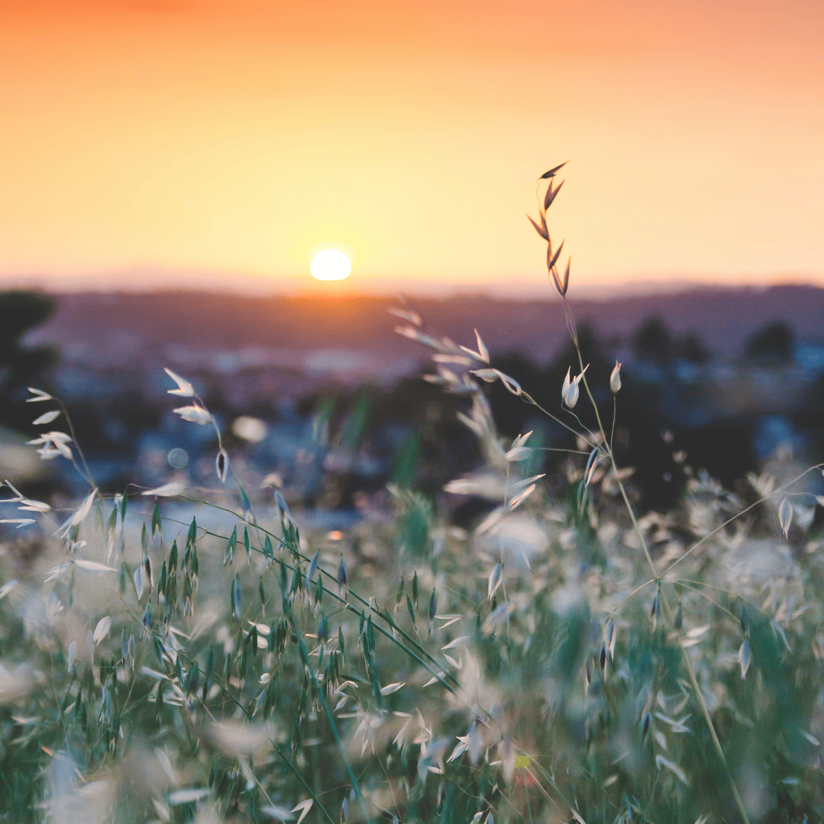 Beyond the Horizon: Priorities for a Livable&nbsp;Future