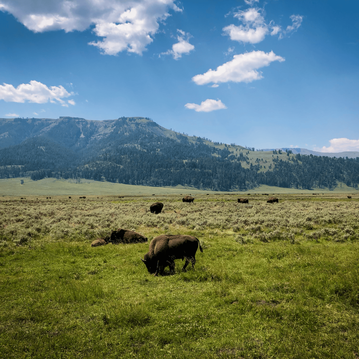 Harm means harm; habitat must be&nbsp;protected