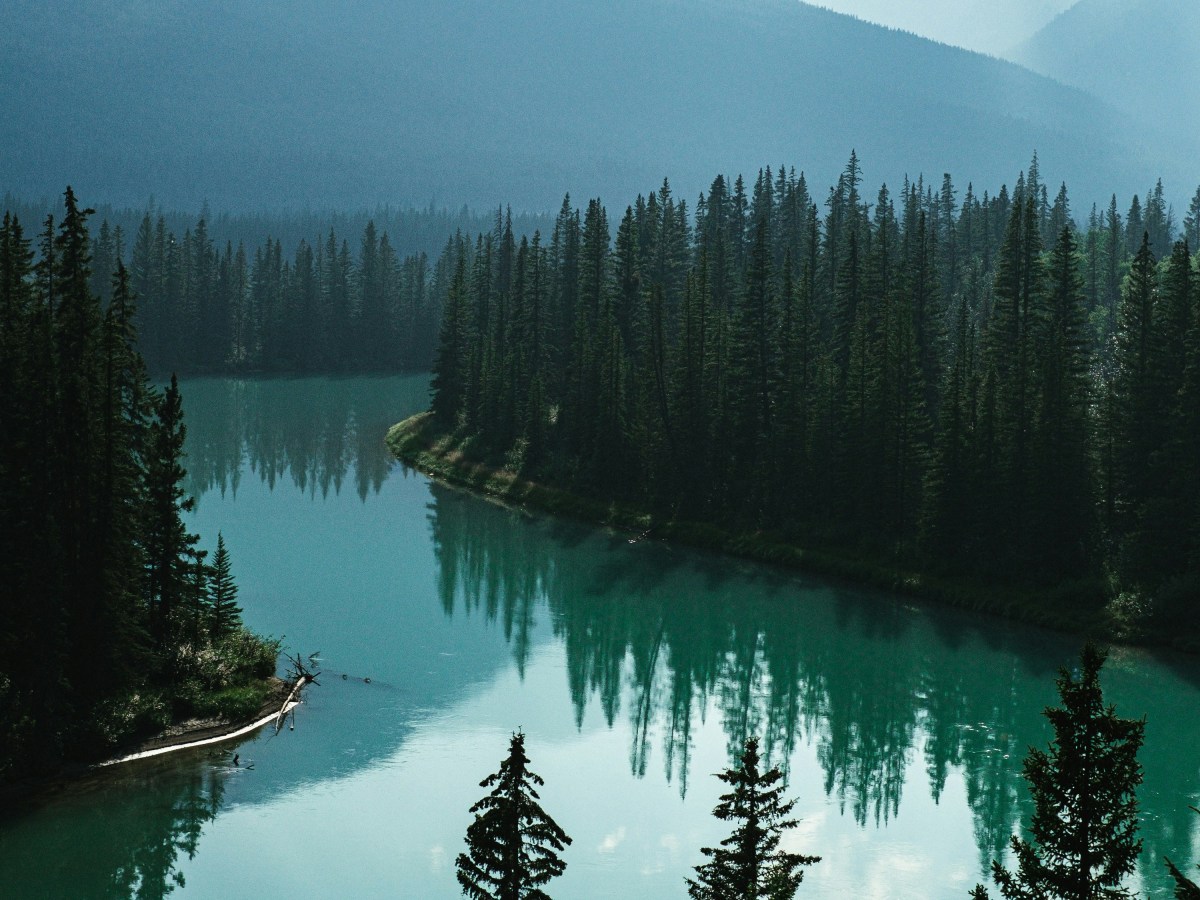 We are Nature