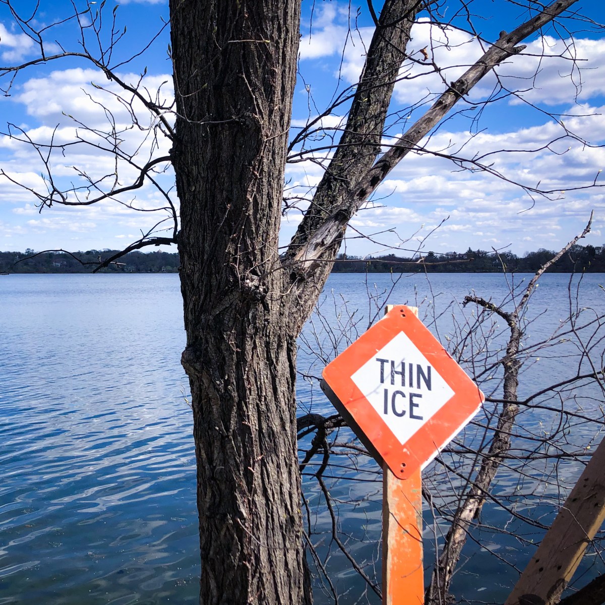 Steering through perilous&nbsp;times