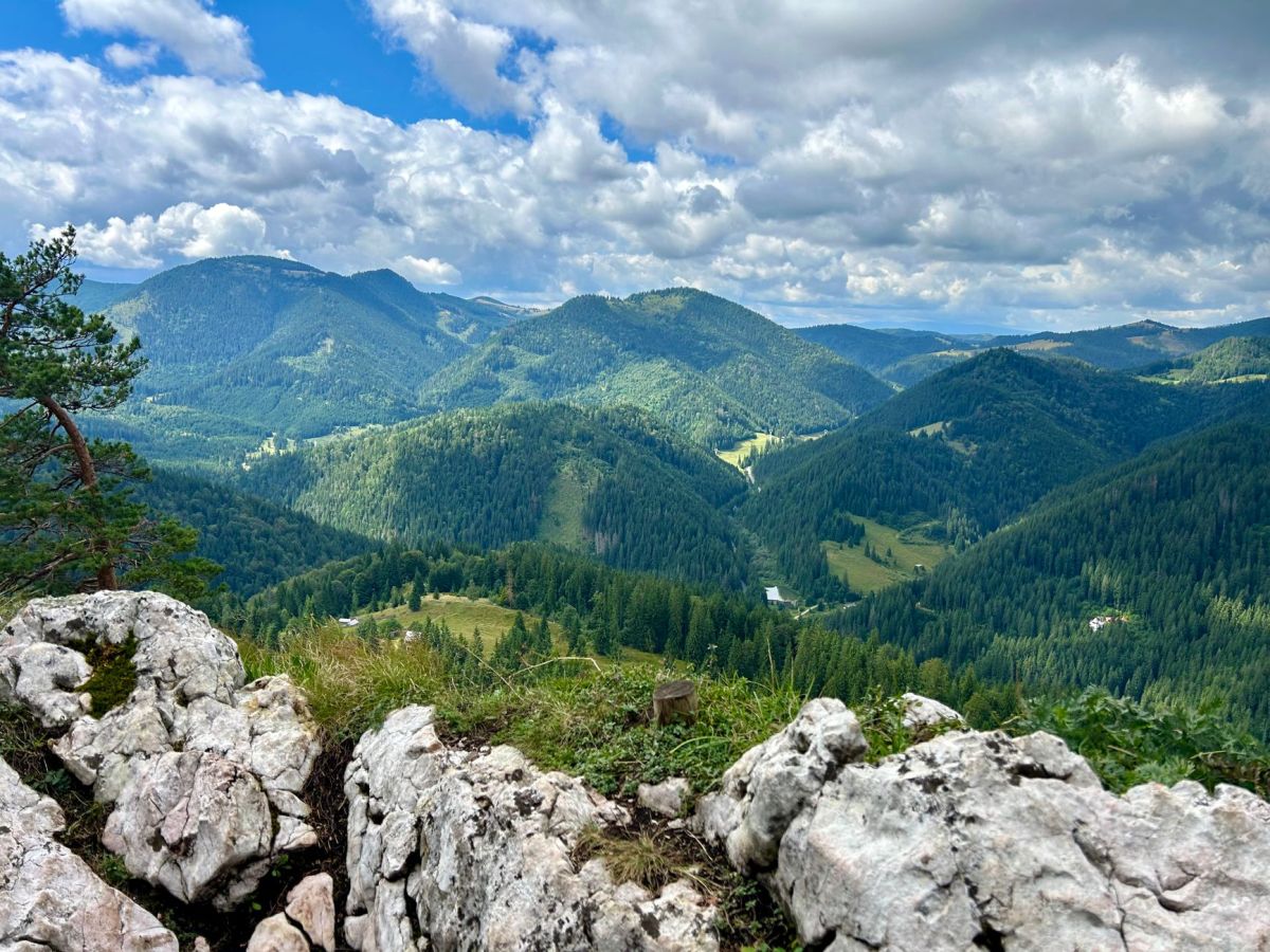 From exploitation to&nbsp;elevation