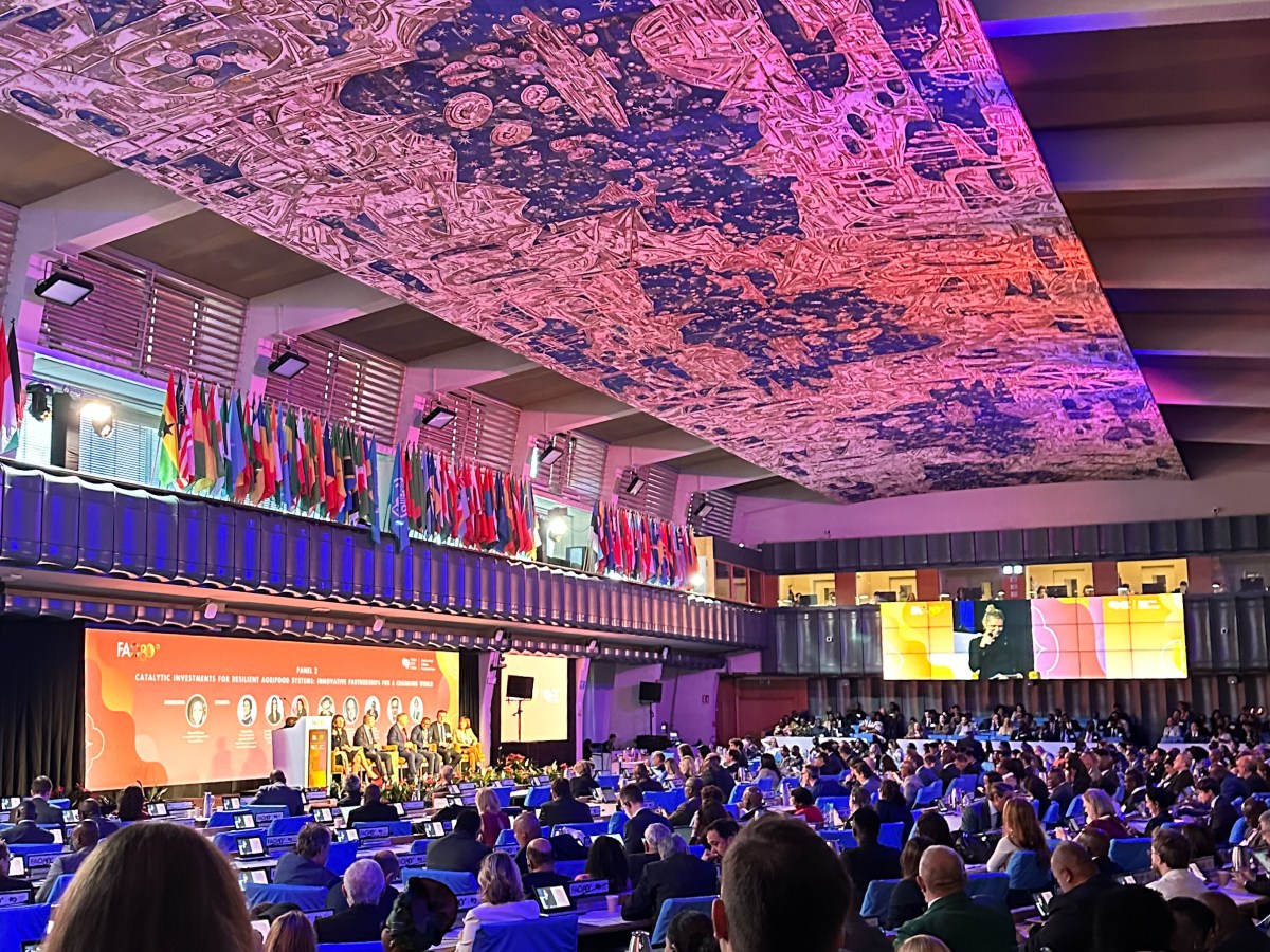 Focus on food finance&nbsp;innovation